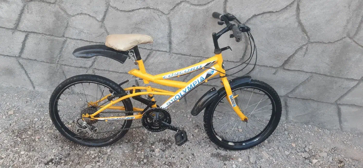 دوچرخه|دوچرخه، اسکیت، اسکوتر|تربت جام, میان جام|دیوار