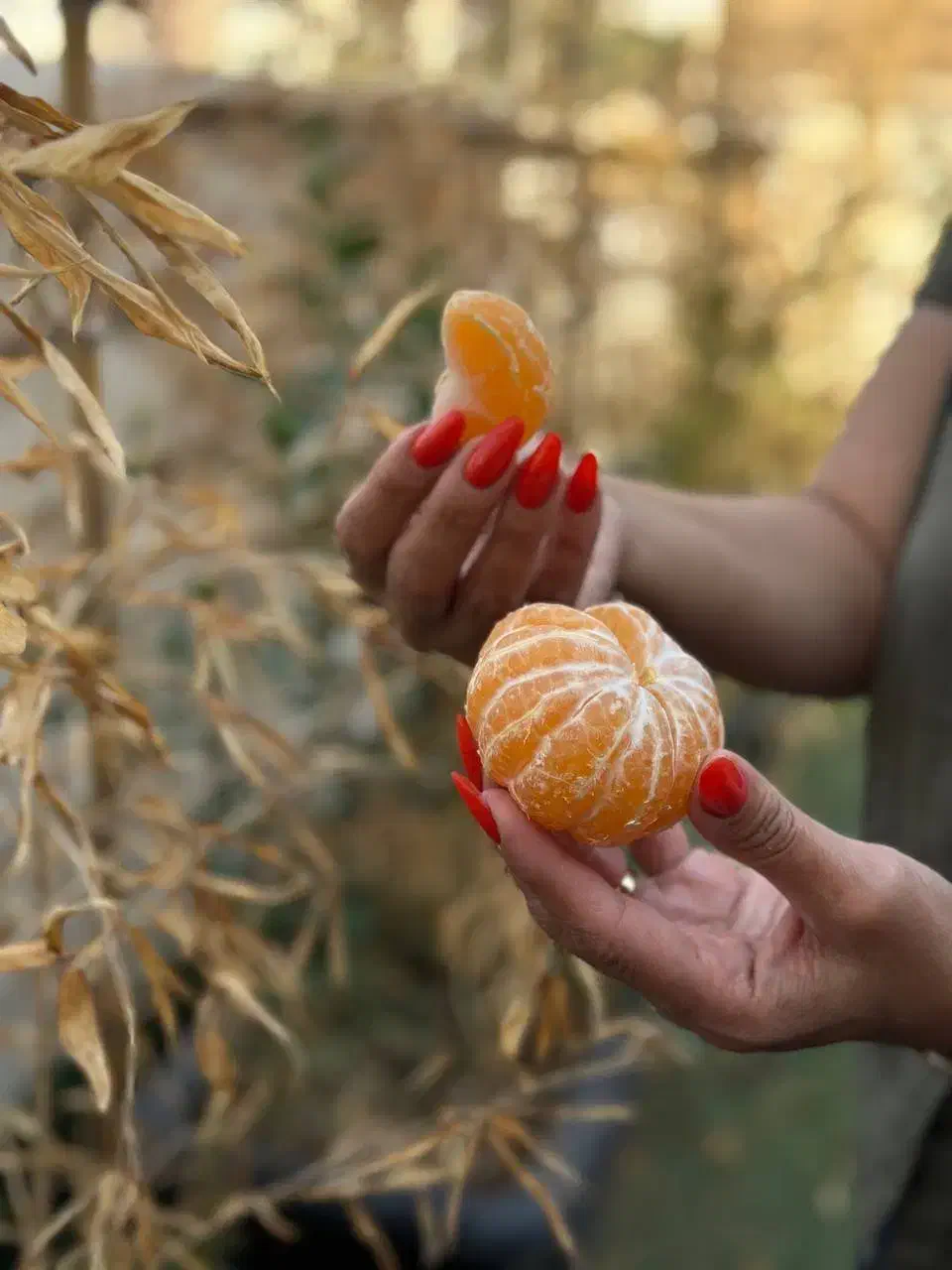 کاشت ناخن با بهترین متریال و مناسب ترین قیمت|خدمات آرایشگری و زیبایی|تهران, هوانیروز|دیوار