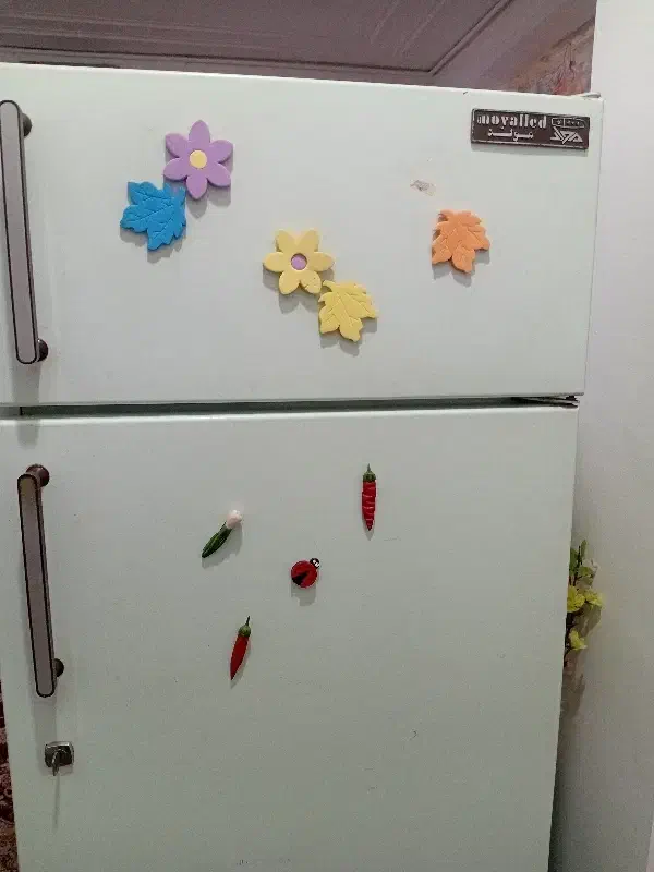 یخچال قدیمی|یخچال و فریزر|فولادشهر, B4|دیوار