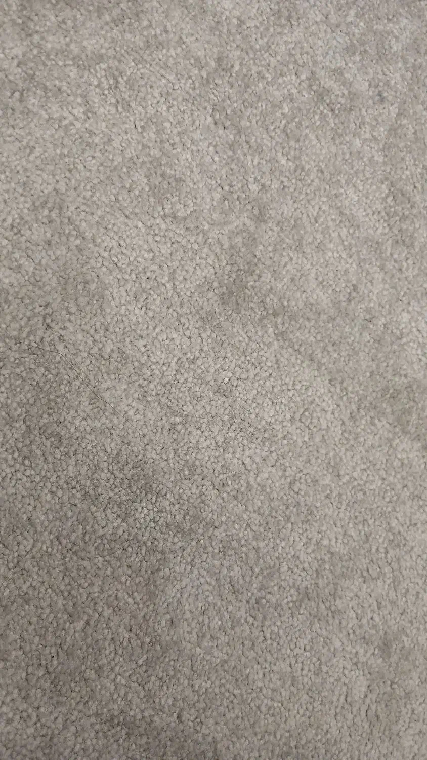 پالاز موکت|موکت|چاف و چمخاله, |دیوار