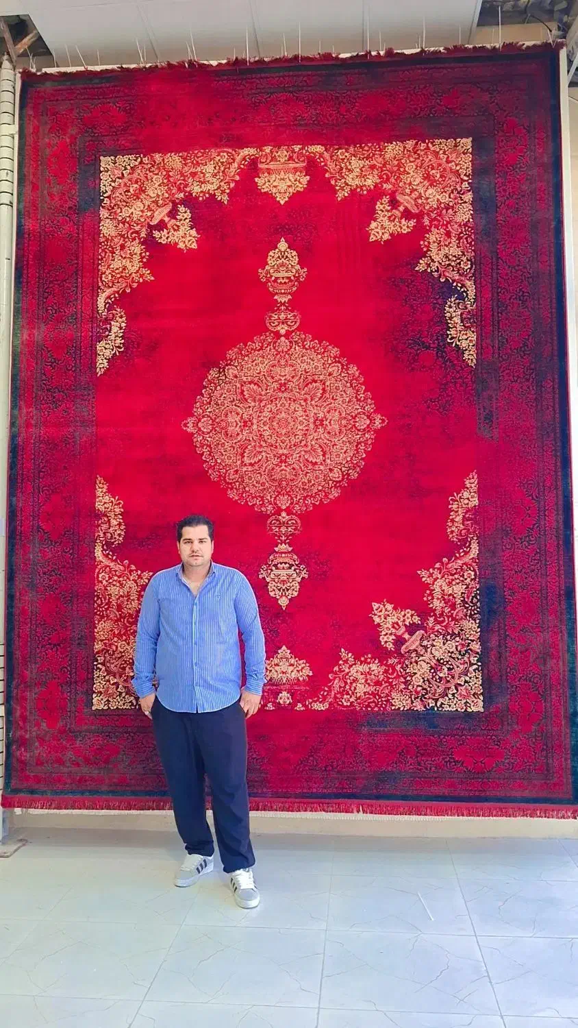 سرزمین از فرش وقالی در یکجا|فرش|بوشهر, |دیوار