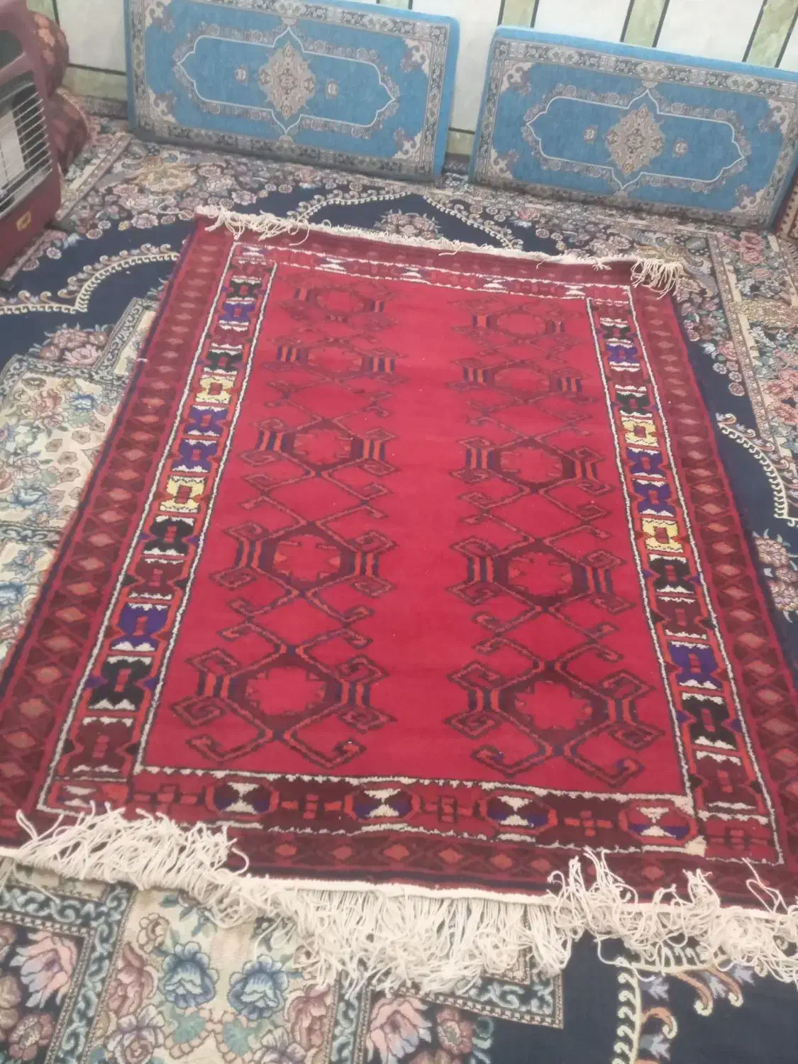 قالی|فرش|شوشتر, |دیوار