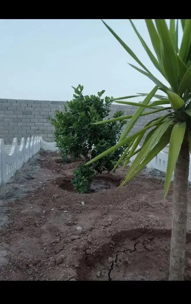 باغچه ۱۵۸ متری نهال کاری شده در مجموعه|فروش زمین و ملک کلنگی|شهریار, اصیل آباد|دیوار