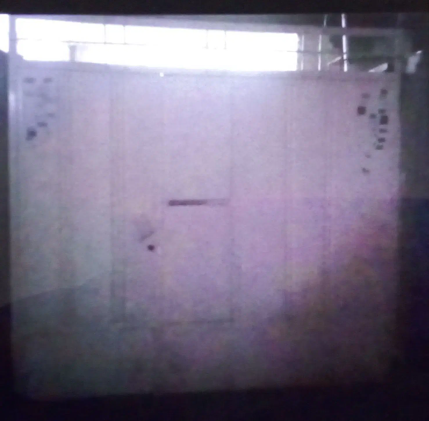 درب حیاط|مصالح و تجهیزات ساختمان|اصفهان, آزادان|دیوار