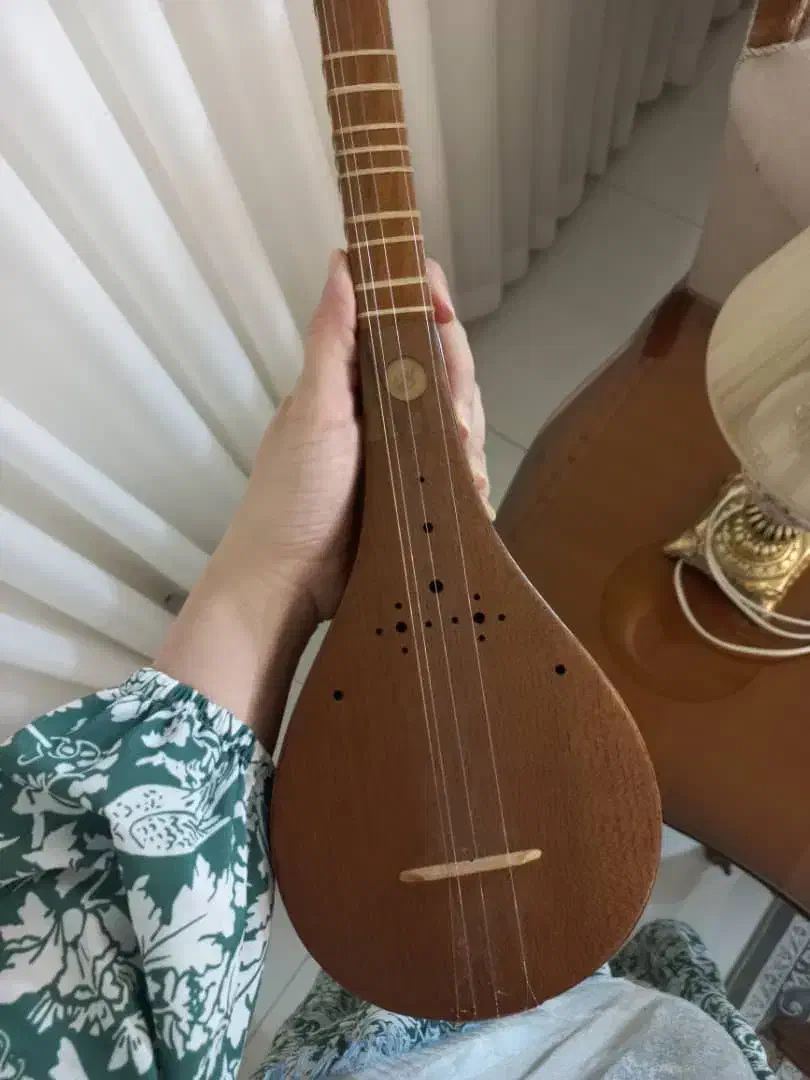 سازسه تار|سازهای سنتی|محمدشهر, محمدشهر|دیوار