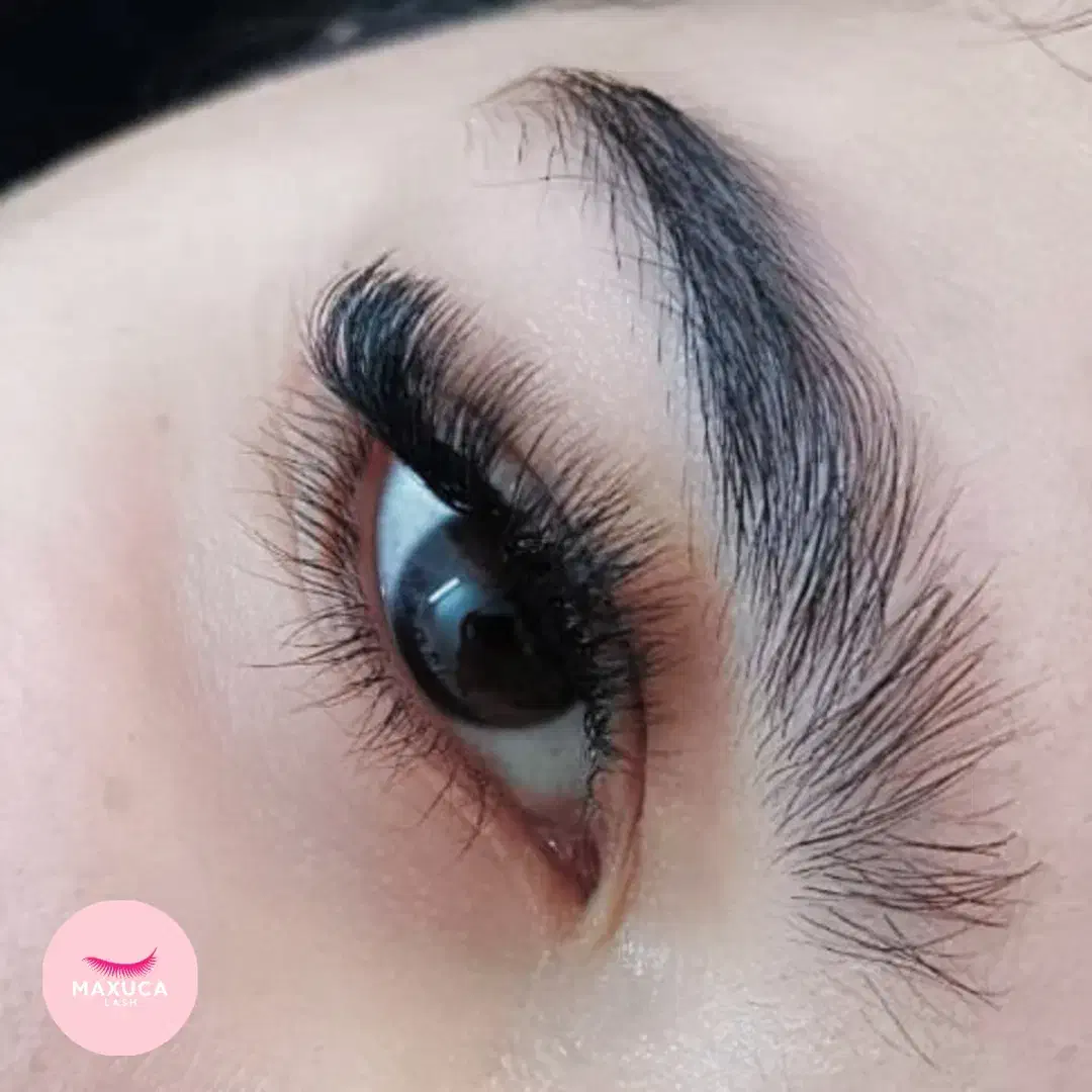 لیفت و لمینت ابرو و مژه و اکستنشن|خدمات آرایشگری و زیبایی|اصفهان, الهیه|دیوار