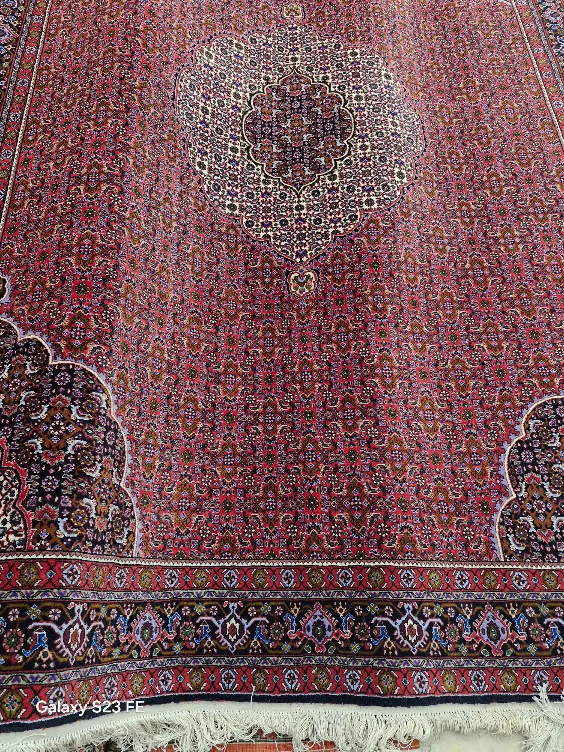 فرش ۶متری دستبافت اصیل تکاب نو خامه نساجی تقوی|فرش|زنجان, |دیوار