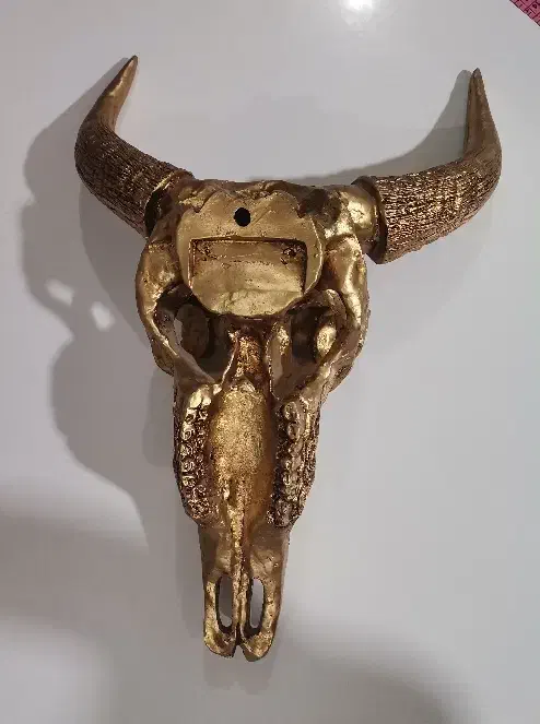 دیوار کوب شاخ|مجسمه، تندیس، ماکت|نیشابور, مدرس|دیوار