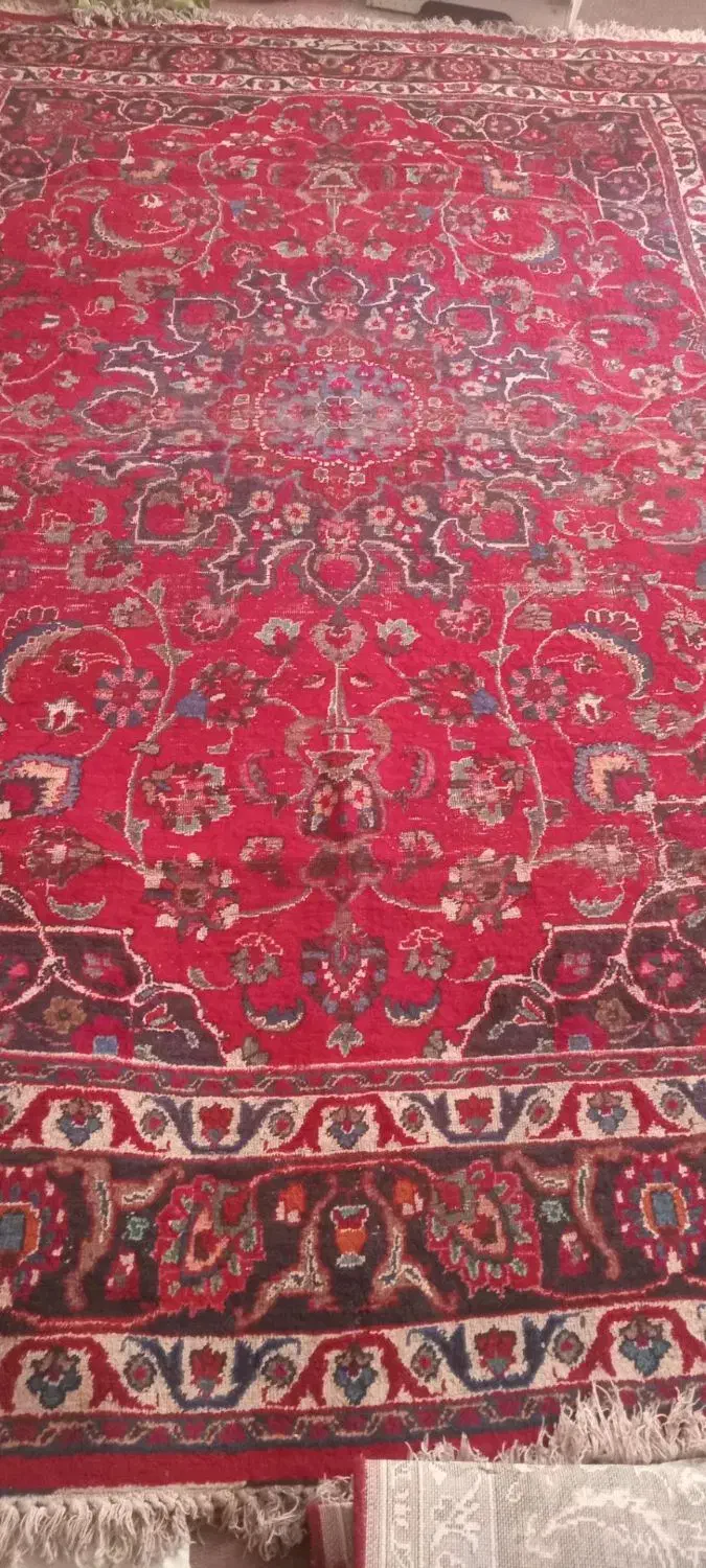 فروش دستباف و ماشینی|فرش|مشهد, خواجه ربیع|دیوار