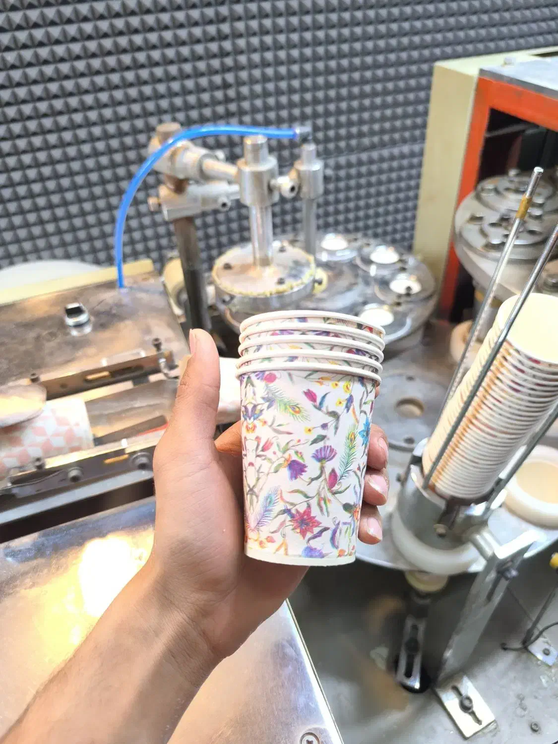 تولید کننده انواع لیوان کاغذی|ظروف نگهدارنده، پلاستیکی، یکبارمصرف|یزد, |دیوار