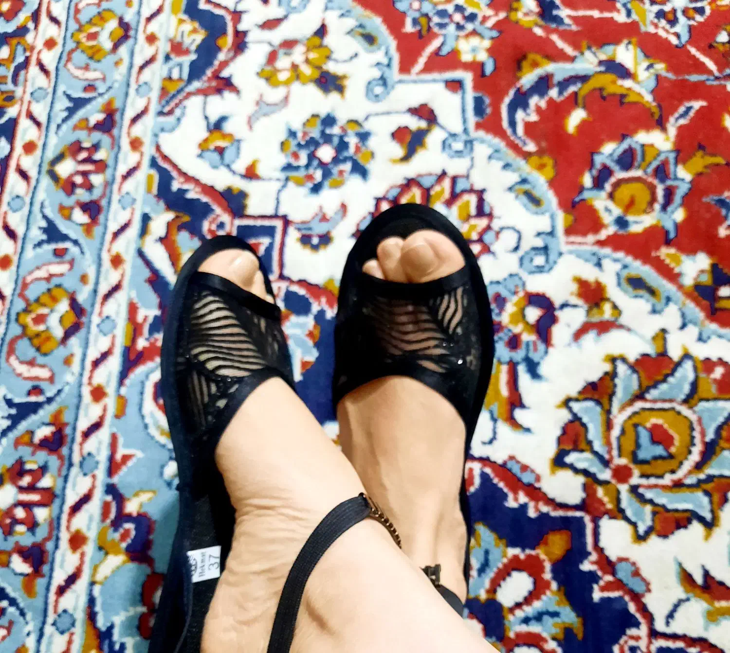 جوراب کفشی|کیف، کفش، کمربند|تهران, ابوذر|دیوار