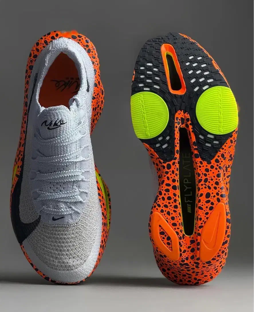 کفش|کیف، کفش، کمربند|چالوس, |دیوار