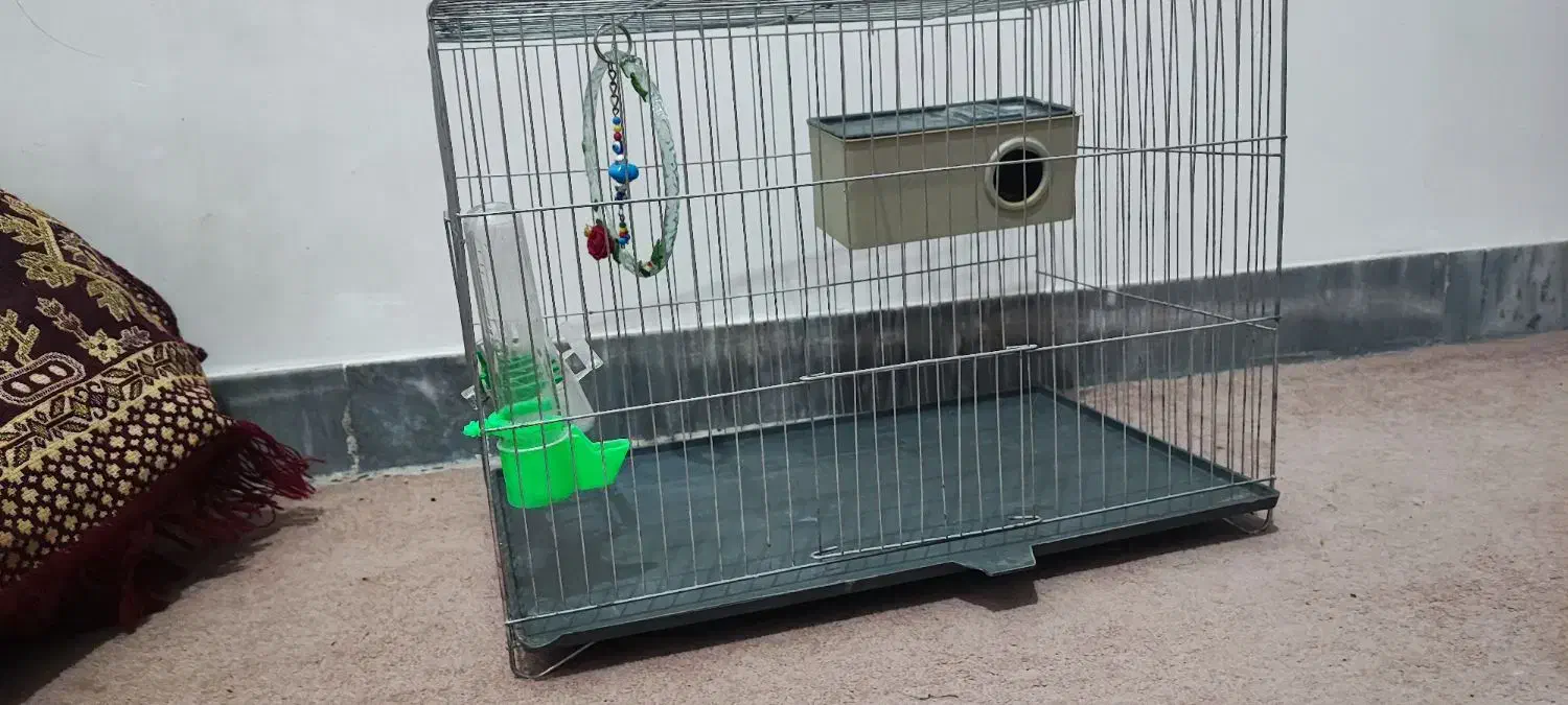 قفس پرنده با تمام ملزومات|لوازم جانبی حیوانات|آبدانان, |دیوار