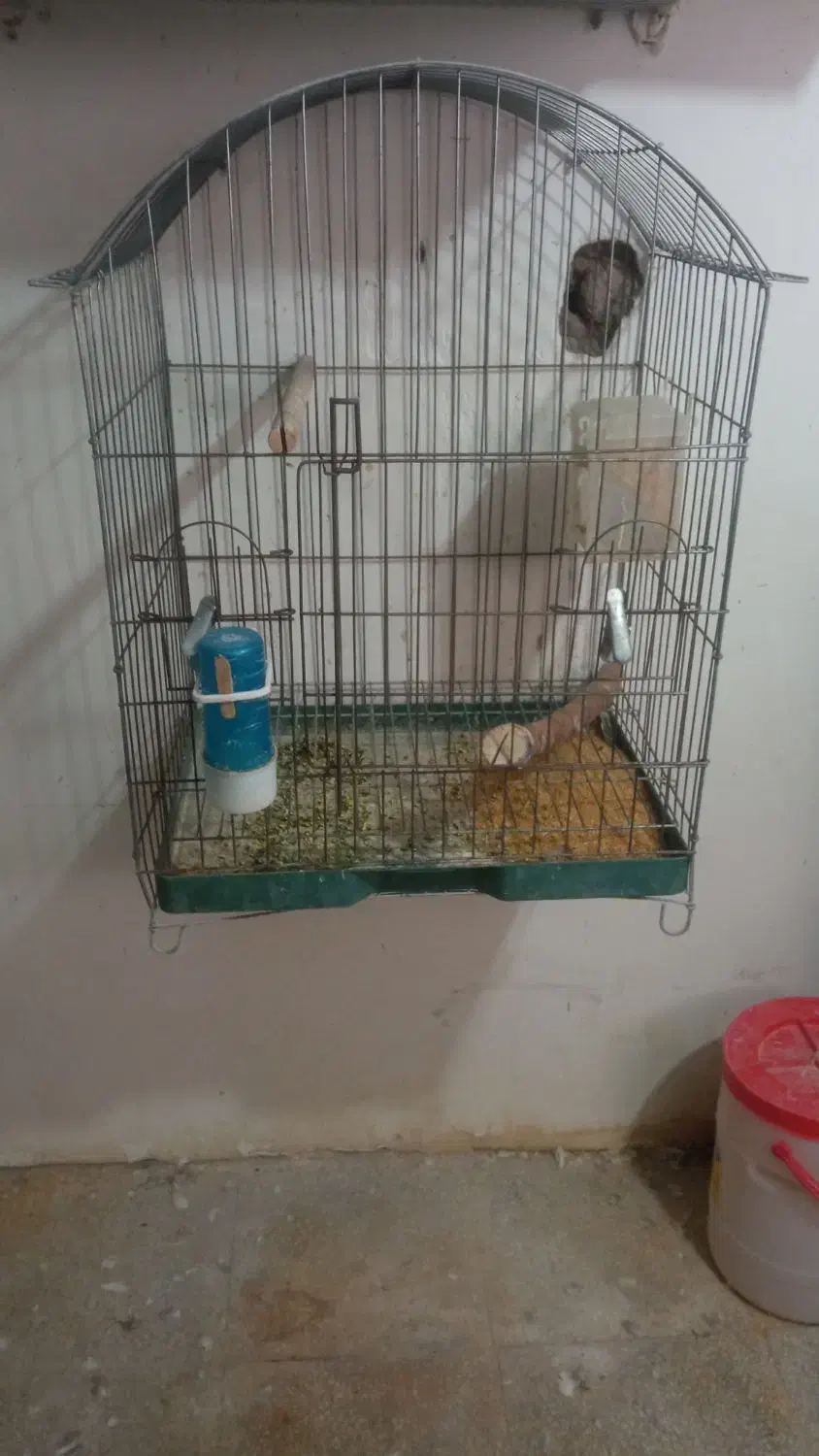 قفس|لوازم جانبی حیوانات|سبزوار, طبرسی (جعفرآباد)|دیوار