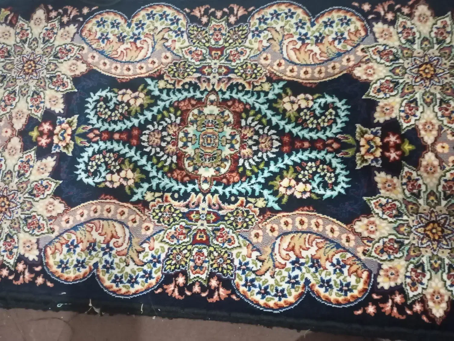 پادری(روپشتی)|پادری|سنندج, |دیوار