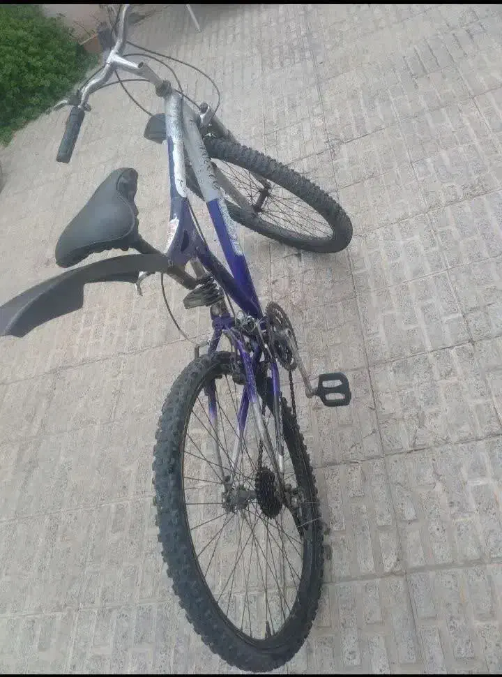 دوچرخه ۲۶|دوچرخه، اسکیت، اسکوتر|هشتگرد, شهرک ولیعصر (مصلی)|دیوار