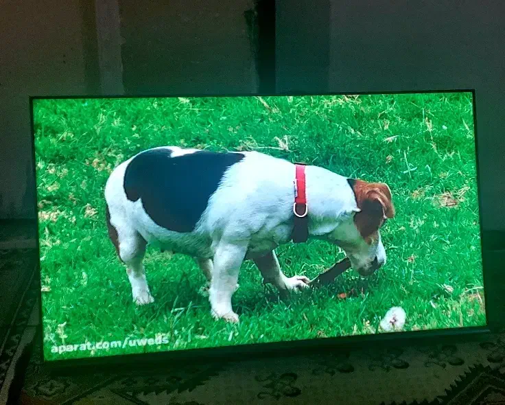 تلویزیون32اینچ هایسنس دیجیتال سرخوداکبند|تلویزیون و پروژکتور|اهواز, پردیس دو|دیوار