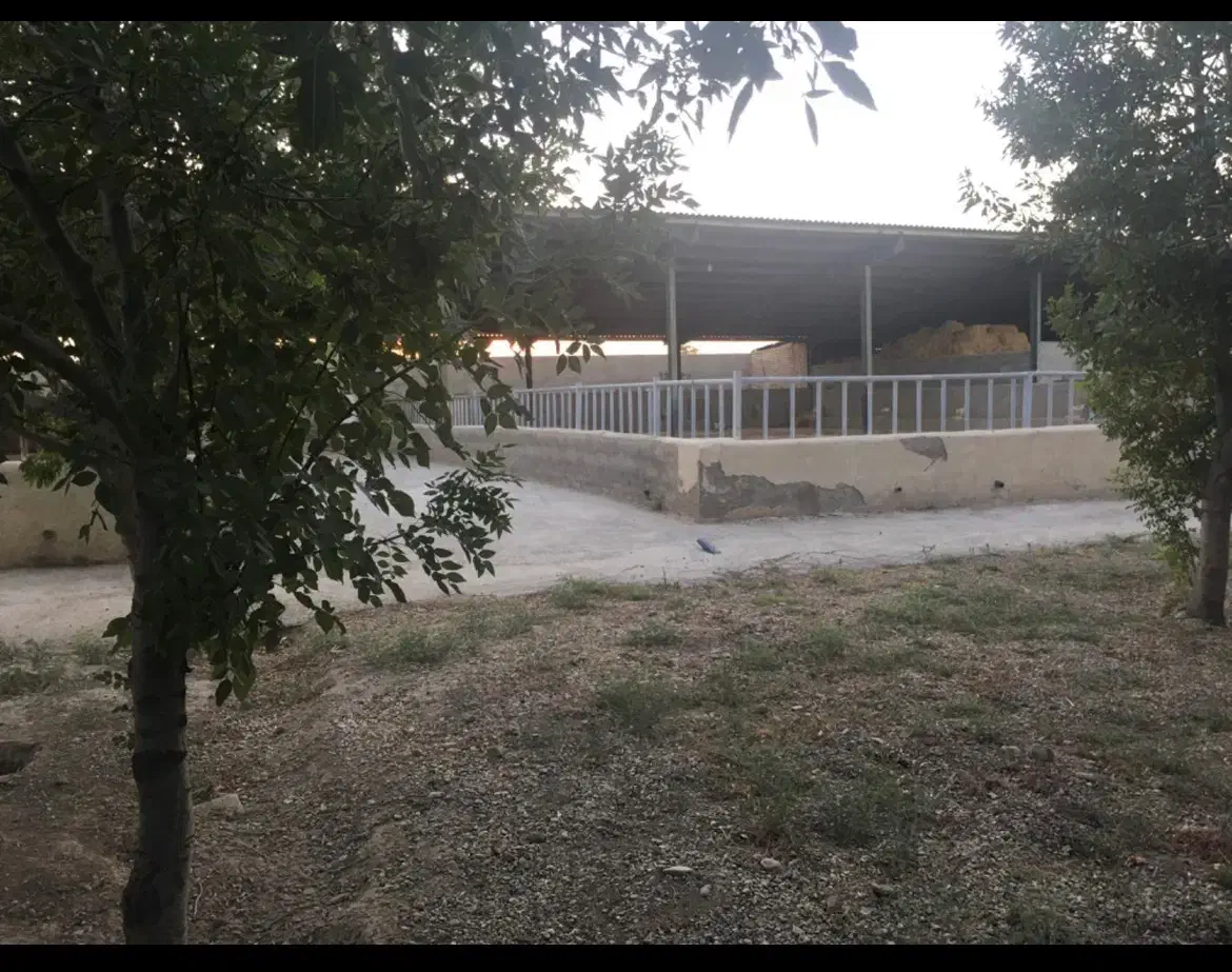 دامداری|اجارهٔ دفتر صنعتی، کشاورزی، تجاری|جوادآباد, |دیوار