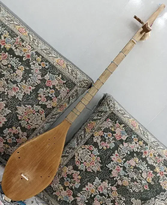 دوتار کاشمر قیمت مناسب|سازهای سنتی|کاشمر, |دیوار