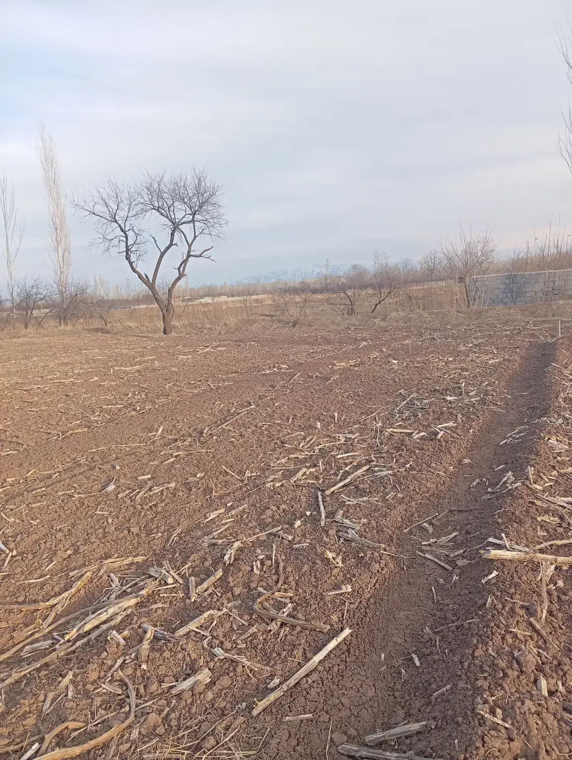 فروش و اجاره زمین کشاورزی|اجارهٔ دفتر صنعتی، کشاورزی، تجاری|فیرورق, |دیوار