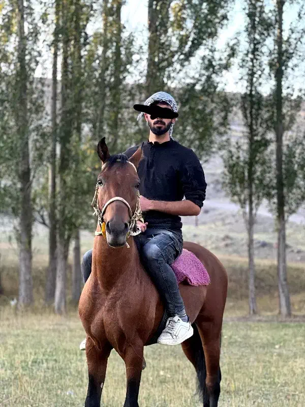 نریان دره شوری ( کهر )|اسب و تجهیزات اسب‌سواری|ورزقان, |دیوار