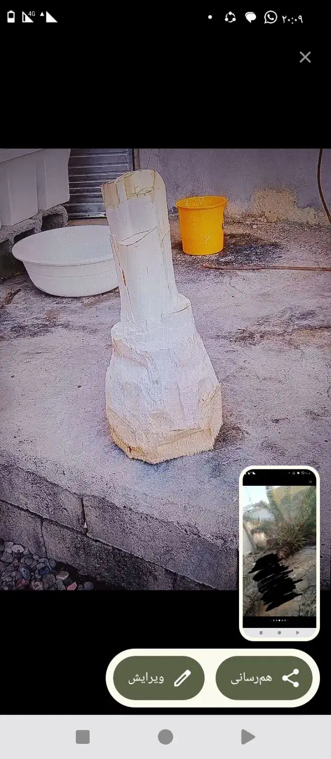 هرسنخلریگاندرمنزلو باغ|خدمات باغبانی و درختکاری|میناب, |دیوار