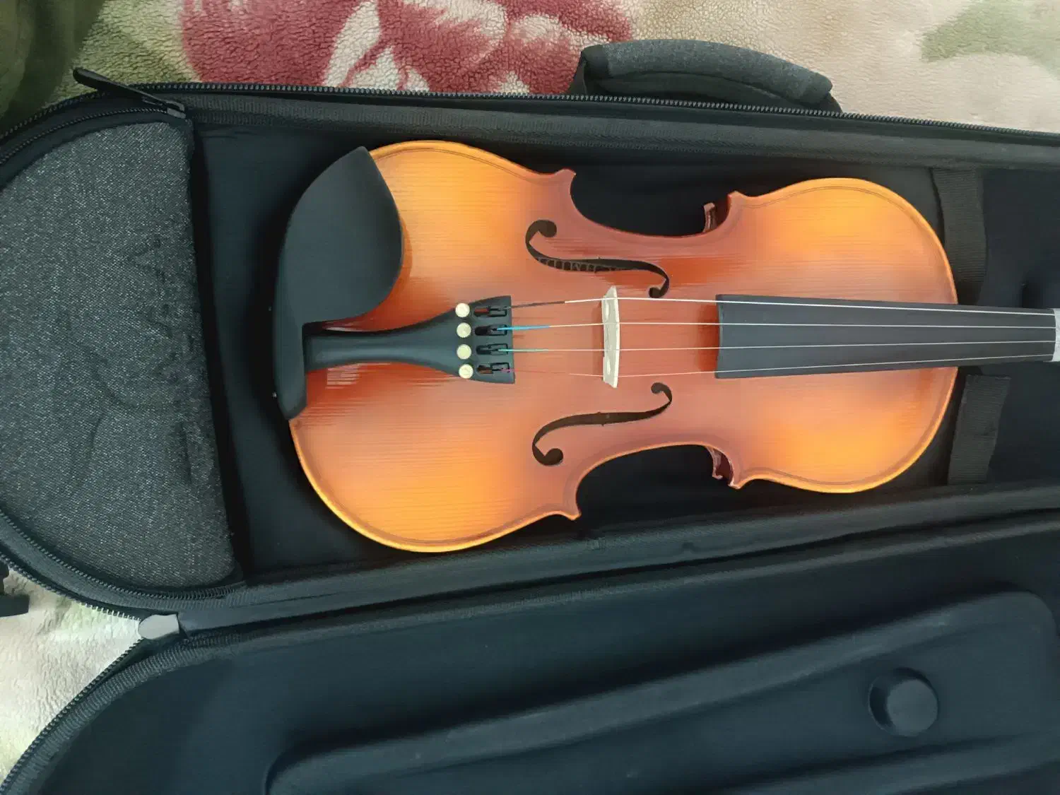 ویالون اشمیت|ویولن|آبادان, |دیوار