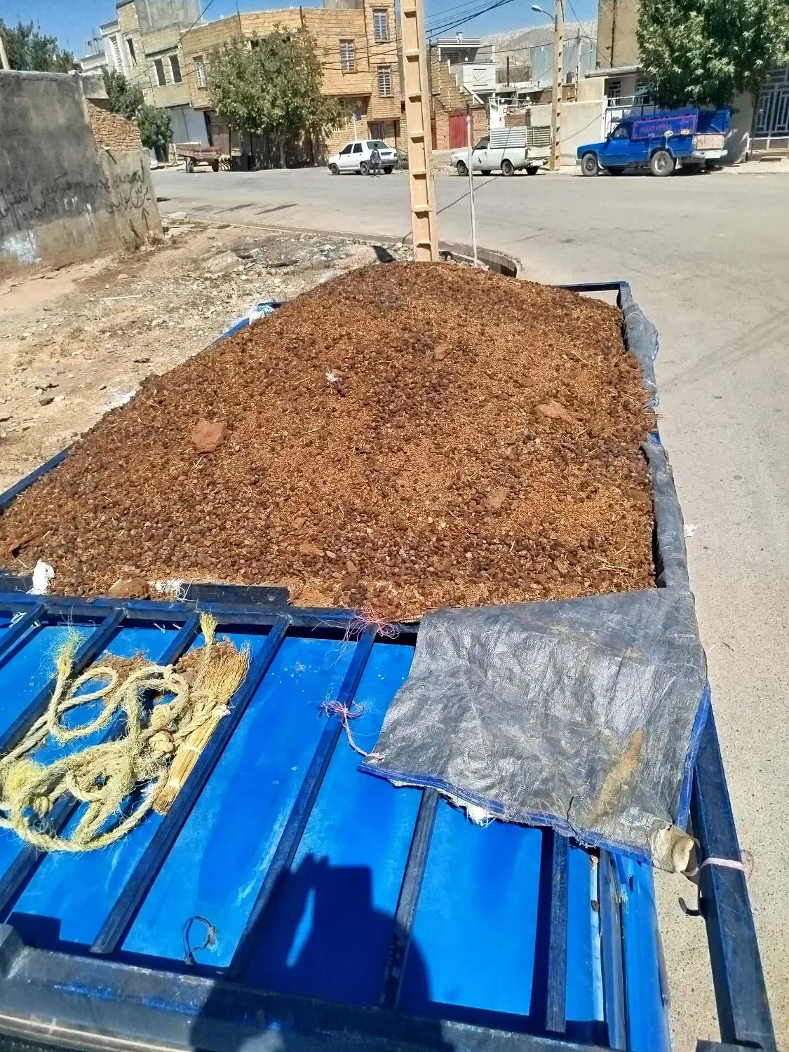 کود حیوانی گوسفندی|خدمات باغبانی و درختکاری|کوهدشت, |دیوار