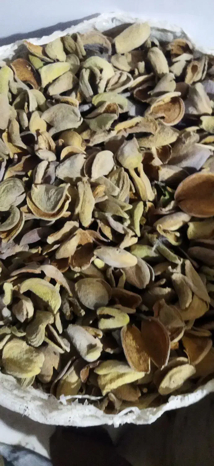 پوسته بادام|خوردنی و آشامیدنی|بلداجی, |دیوار