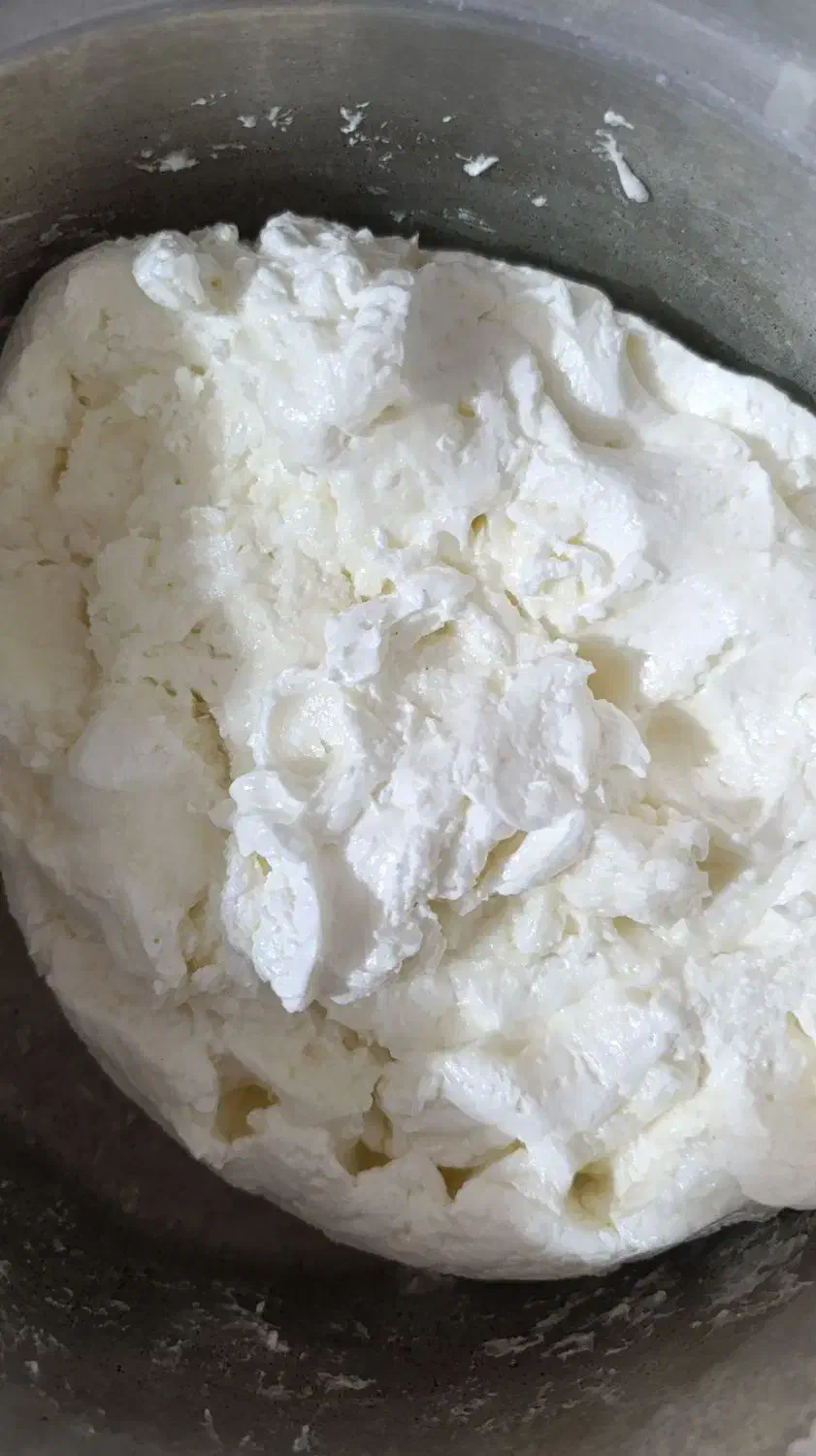 کره کز دار بز و روغن|خوردنی و آشامیدنی|اندیمشک, |دیوار