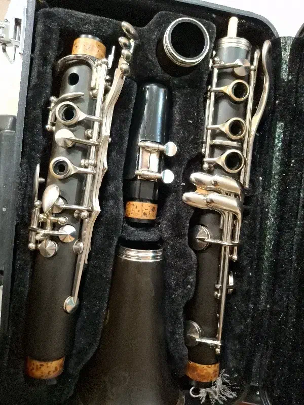 کلارینت اوشن|سازهای بادی|تبریز, |دیوار