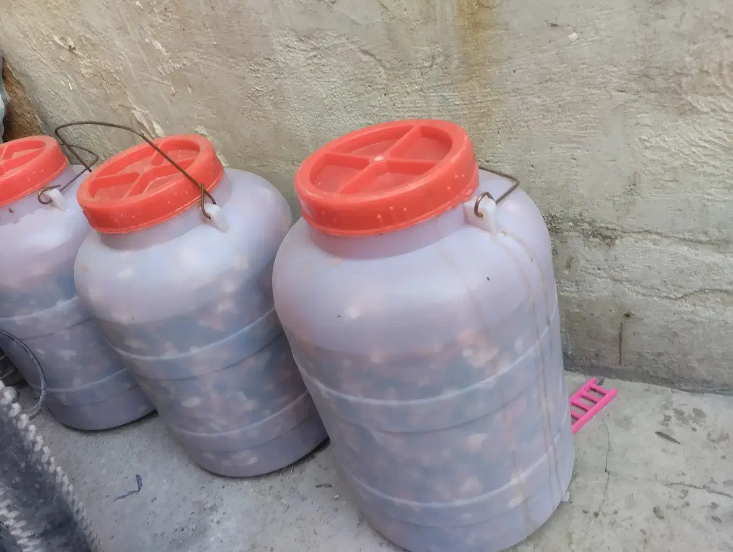 ترشی خانگی ترکیبی، کیلویی 4۰ هزار تومان|خوردنی و آشامیدنی|مشهد, شهید شهریاری|دیوار