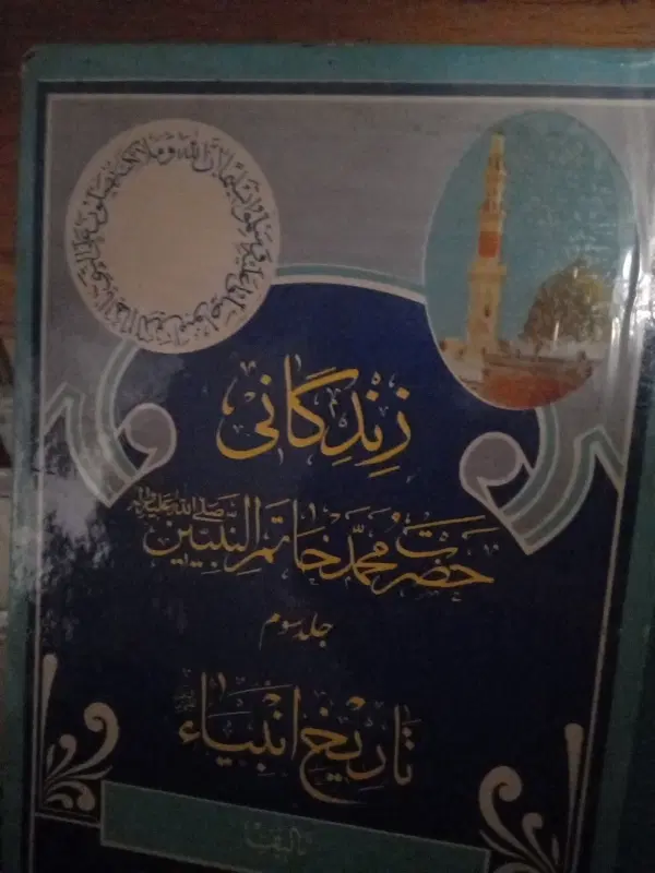 کتاب|کتاب و مجله تاریخی|شیراز, شهدای شهرک سعدی|دیوار