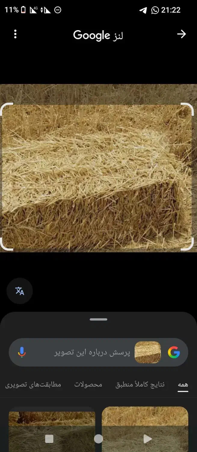 فروش کاه پرس گندم|حیوانات مزرعه|درودزن, |دیوار