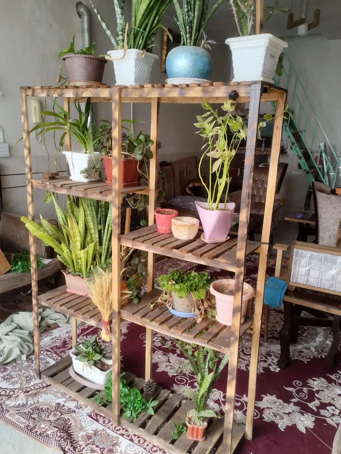 استندگل بزرگ و زیبا ، چوب ترمو ضدموریانه و سوسک.|گل و گیاه طبیعی|نجفآباد, صالح آباد|دیوار