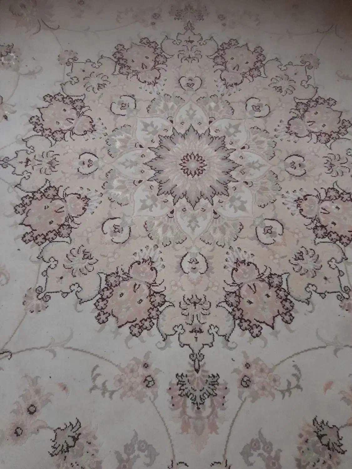 فرش کرم رنگ ۶متری|فرش|رشت, کوی مهر|دیوار