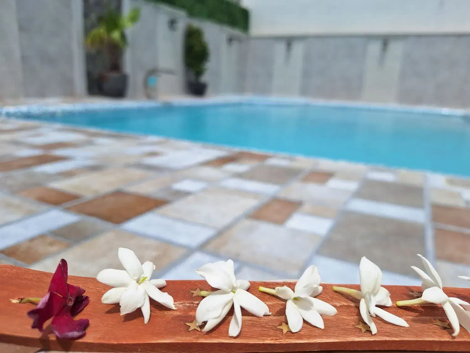 جذب نیروی خانم جهت کار در  پذیرش  استخر آفتاب|استخدام اداری و مدیریت|بندر کنگان, |دیوار