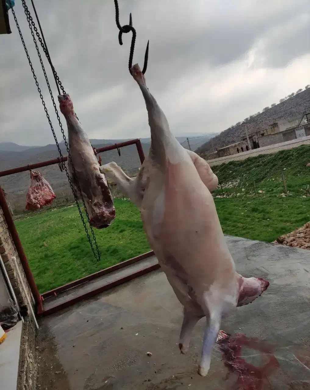 گوشت تازه بره و گوساله کرمانشاه، تضمین کیفیت|خوردنی و آشامیدنی|تهران, ترمینال غرب|دیوار