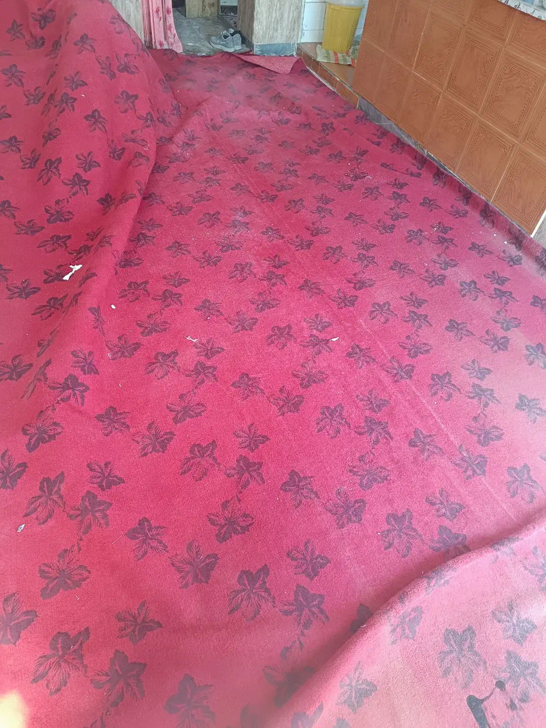 موکت|موکت|شیراز, شهرک مهرگان|دیوار