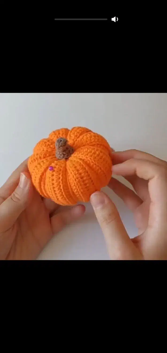 یلدایی|زیورآلات و اکسسوری|گنبد کاووس, |دیوار