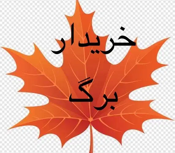 برگ چنار|گل و گیاه طبیعی|محمدشهر, عباس آباد|دیوار