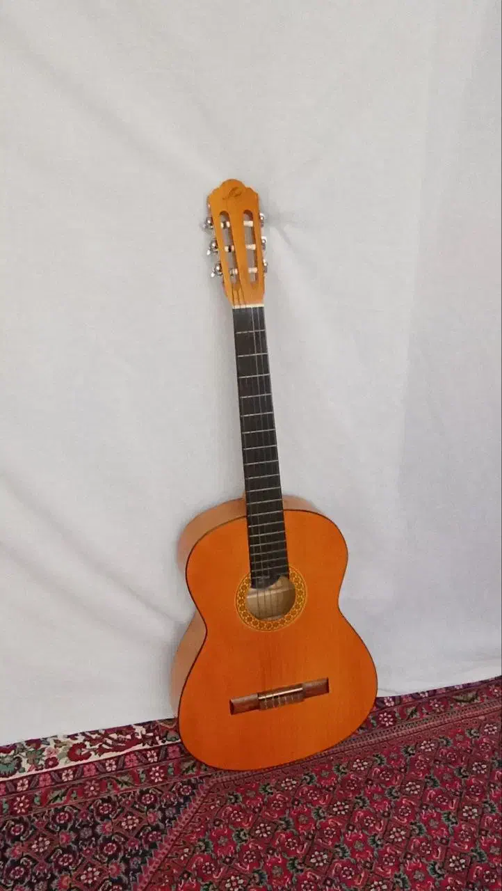 گیتار کلاسیک|گیتار، بیس، امپلیفایر|اردبیل, |دیوار