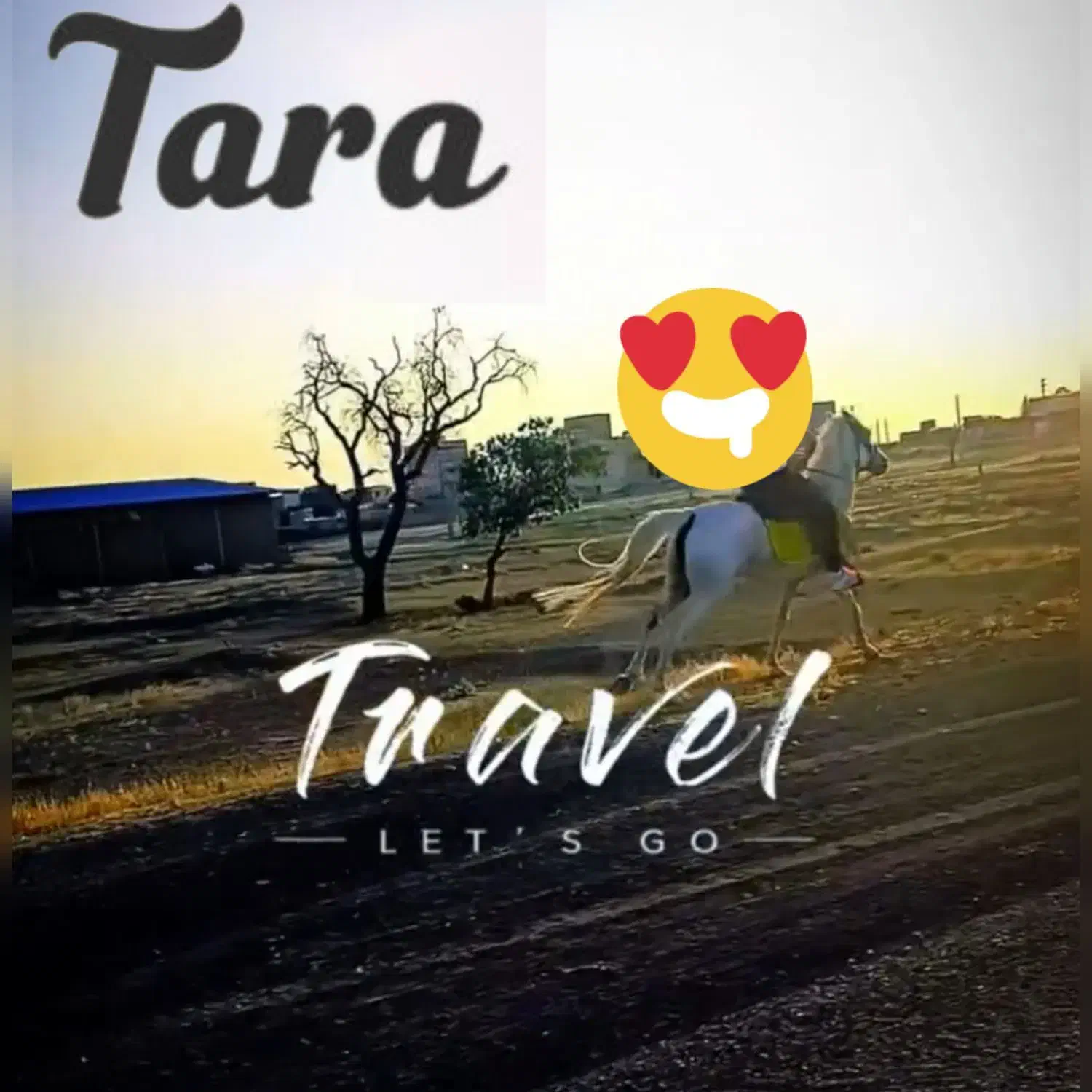 اسب مادیان|اسب و تجهیزات اسب‌سواری|محمدیه-قزوین, |دیوار