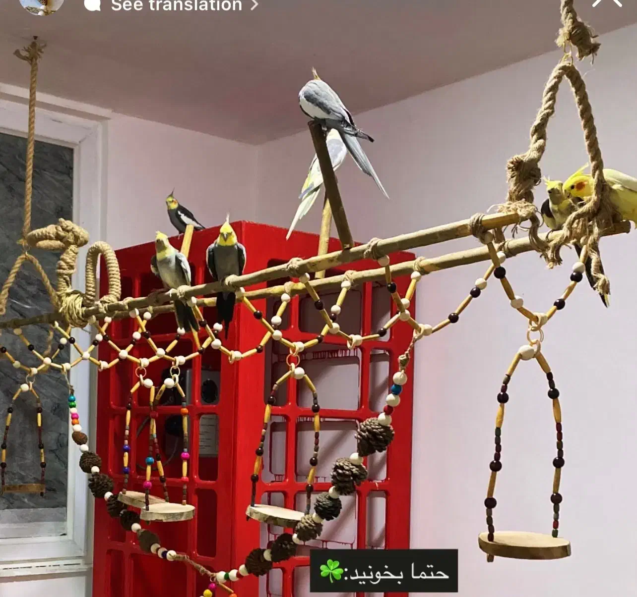 تاب معلق پرندگان|لوازم جانبی حیوانات|بندرعباس, |دیوار
