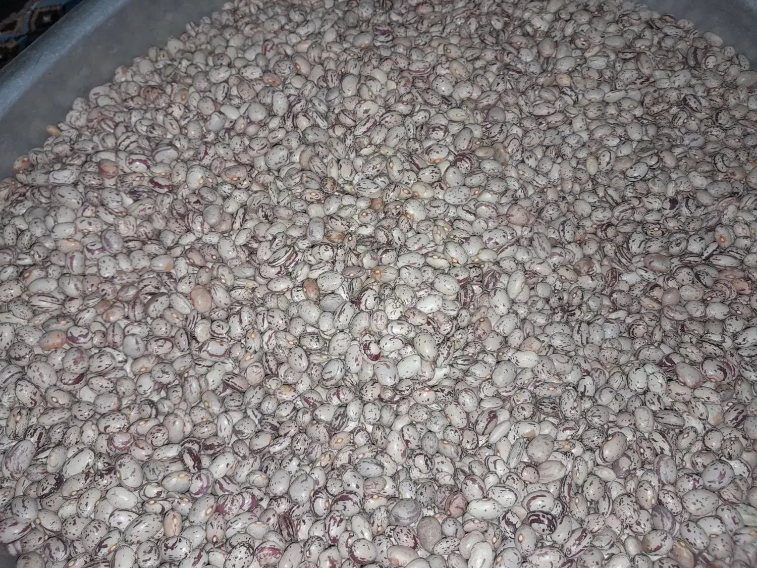 لوبیاچیتی|خوردنی و آشامیدنی|ننور, |دیوار