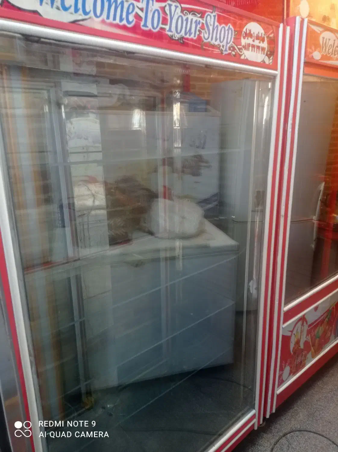 سمساری کسری . یخچال ویترینی . فریزر ایستاده بستنی|فروشگاه و مغازه|کرمانشاه, |دیوار