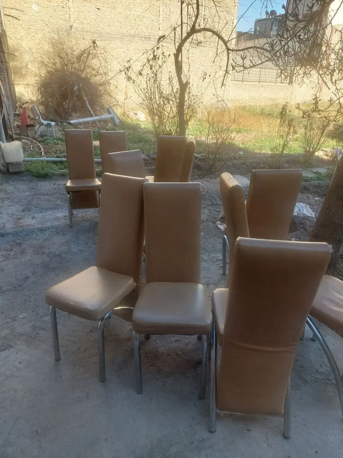 تعداد۲۴عدد صندلی رستورانی|کافیشاپ و رستوران|طرقبه, |دیوار