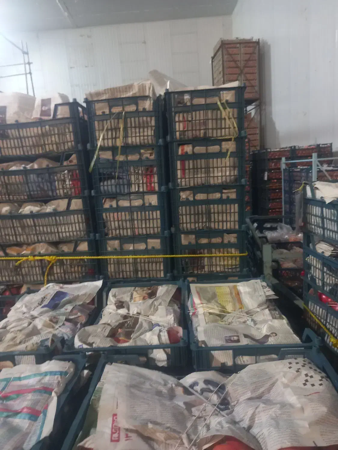 انار|خوردنی و آشامیدنی|فاضل آباد, |دیوار