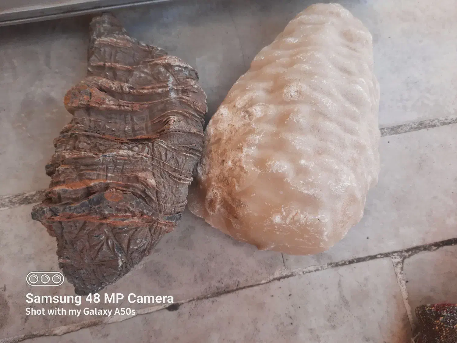 سنگ طبیعی آکواریوم|ماهی|کرج, کوی امامیه|دیوار