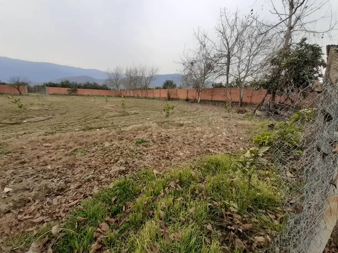 ۵۰۰۰ متر زمین چهار دیواری|فروش زمین و ملک کلنگی|نوکنده, |دیوار